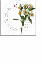 pisces: February 20 - march 20