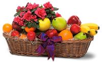 Plant and Fruit Basket