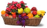 Plant and Fruit Basket