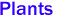 Plants
