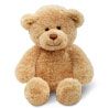 Plush Bear
