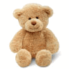Plush Bear