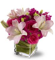 Posh Pinks