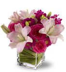 Posh Pinks