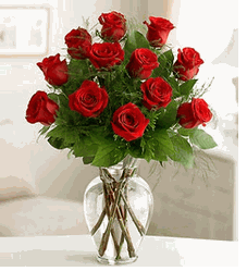 Premium Dozen Long-Stemmed Roses Valentine