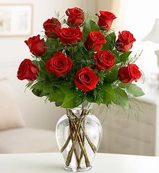Premium Dozen Roses 