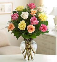 Premium Long Stem Assorted Roses 
