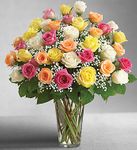 Premium Long Stem Assorted Roses 
