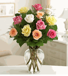 Premium Long Stem Assorted Roses