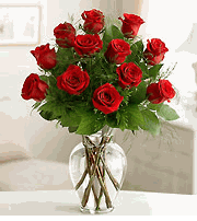 Premium Long Stem Red Roses