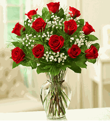 Premium Long Stem Red Roses 