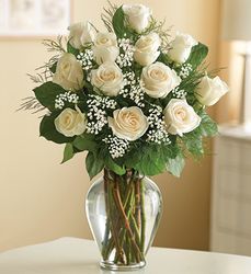 Premium Long Stem White Roses 