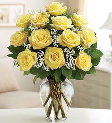 Premium Long Stem Yellow Roses 