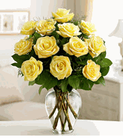 Premium Long Stem Yellow Roses
