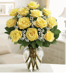 Premium Long Stem Yellow Roses 