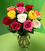 Premium Long Stemmed Mixed Color Rose Bouquet 