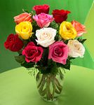 Premium Long Stemmed Mixed Color Rose Bouquet 