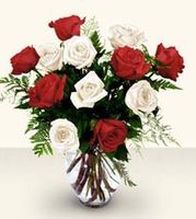 Premium Long Stemmed Red & White Rose Bouquet