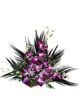 Purple orchid