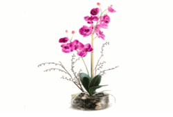 Purple orchid floral arrangement