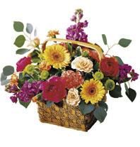 Razzle-Dazzle Bouquet