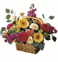 Razzle-Dazzle Bouquet