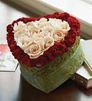 Red and white rose heart