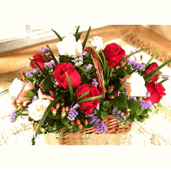 Red and white roses
