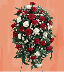Red and white Standing Spray