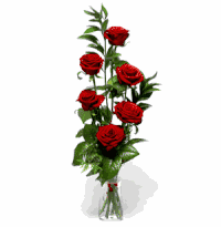 Red Delight