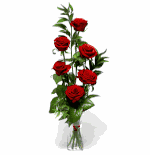 Red Delight