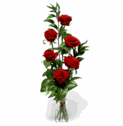 Red Delight