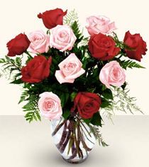 Red & Pink Roses