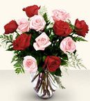 Red & Pink Roses