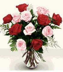 Red & Pink Roses
