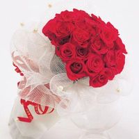 Red rose 24 rose