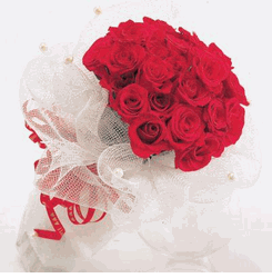 Red rose 24 rose