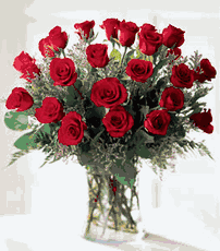 Red Rose 