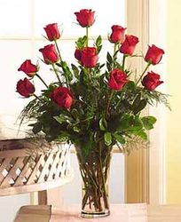 Red Rose