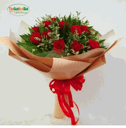 Red rose 