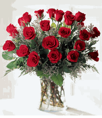 Red Rose 