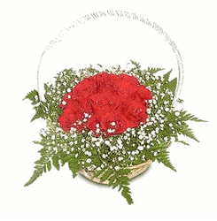 Red Rose basket