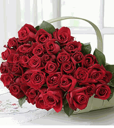 Red Rose Bouquet - 36 Stems wraped