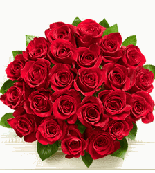 Red Rose Bouquet