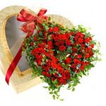Red rose Heart Boxed