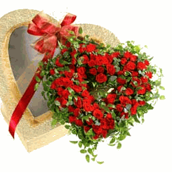 Red rose Heart Boxed