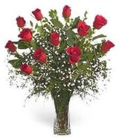 Red roses