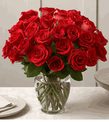 Red Roses