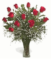 Red roses
