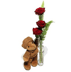 Red Roses and Hugs